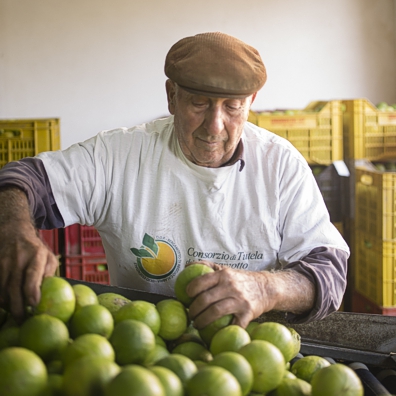 Old man with citrus fruits