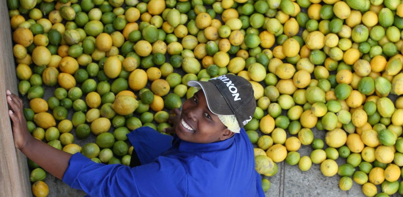 Citrus - a sustainable source